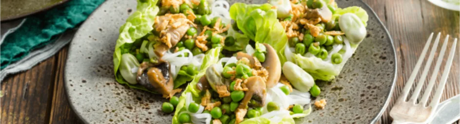 Aziatische slawraps met pittige groenten