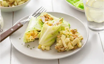 Groene wraps van spitskool met appel en kip