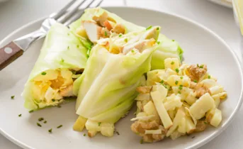 Groene wraps van spitskool met appel en kip