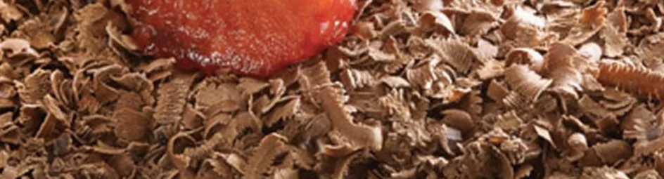 Kwarktiramisu met aardbeien