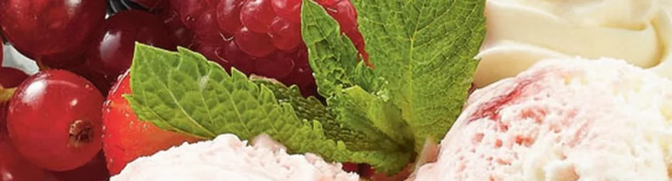 Slagroomijs met rood fruit