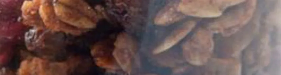 Granola met vruchtencompote