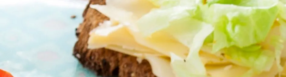 Toast Boer Lekkerkerker kaas