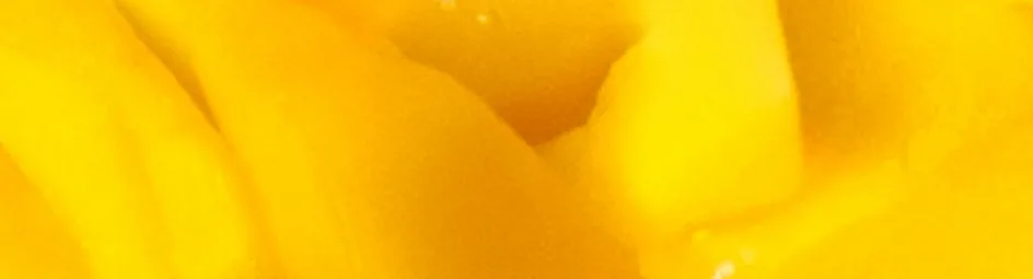 Zwitserse roomtaart met vers fruit