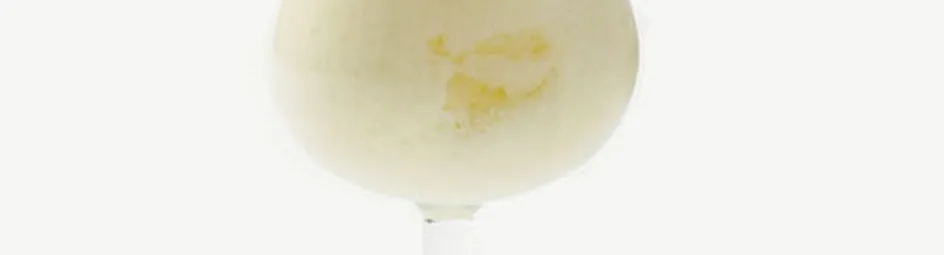 Braziliaanse Brasilena limonade