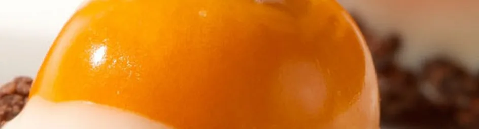 Physalis bessen gedoopt in chocolade