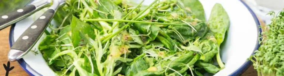 Gemengde groene salade