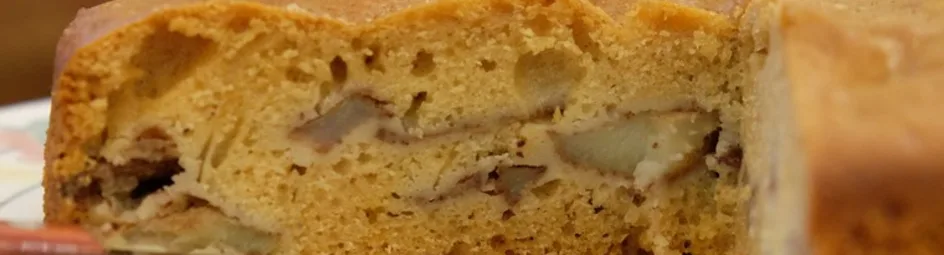 Appelcake zonder toegevoegde suiker van Nahid Samie