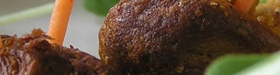 Slakjes van Johanna Brouwer