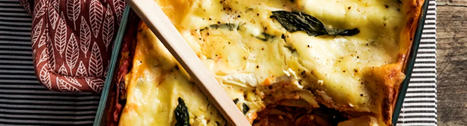 Vega-lasagne