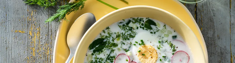 Russische okroshka recept