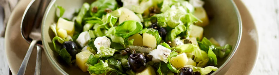 Stamppotsalade van rauwe andijvie