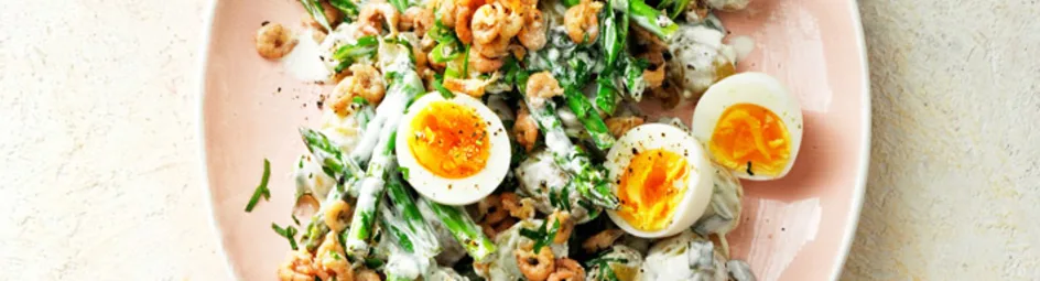 Krieltjessalade en Hollandse garnalen