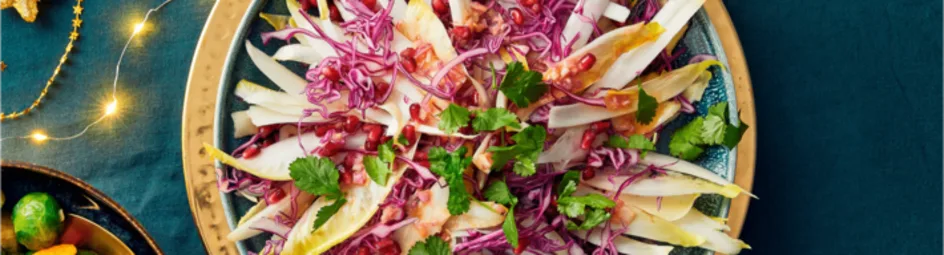 Witlofsalade met rode kool