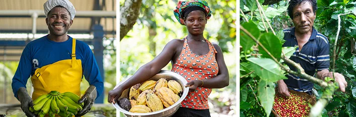 Leveranciers van Fairtrade.
