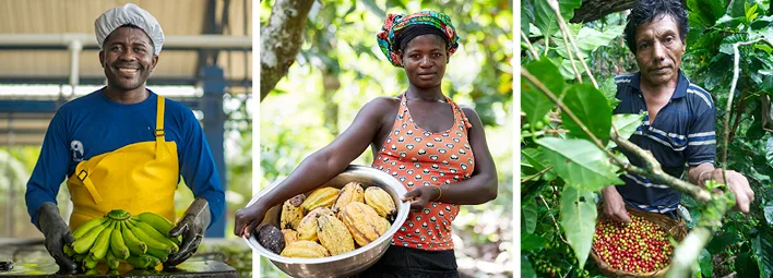 Leveranciers van Fairtrade.