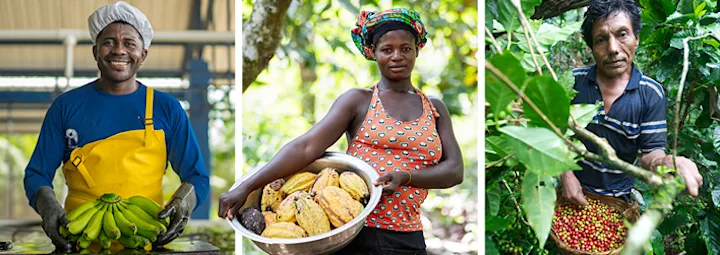 Leveranciers van Fairtrade.