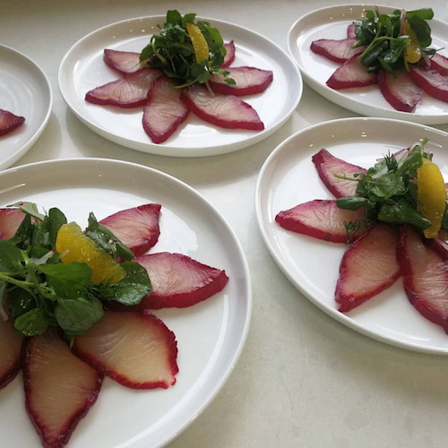 beetroot.kingfish