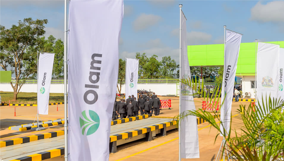 65c55730f443b0c5458c6988 Olam 5