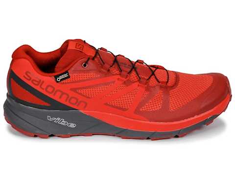 Salomon Sense Ride GTX Invisible Fit