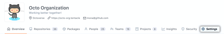 A screenshot of an organization page on GitHub