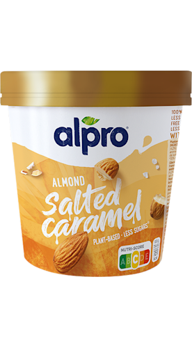 Almond Salted Ice Cream