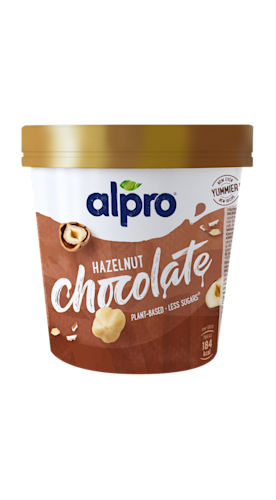 Hazelnut Chocolate Ice Cream