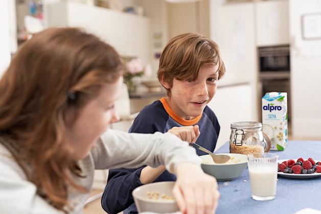 Wat verbetert Alpro nog meer?