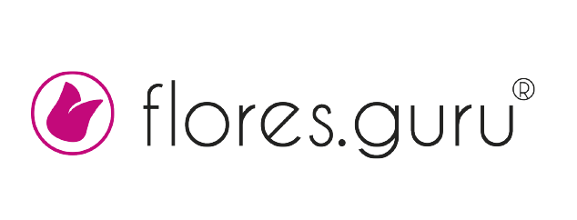 logo-Flores Guru