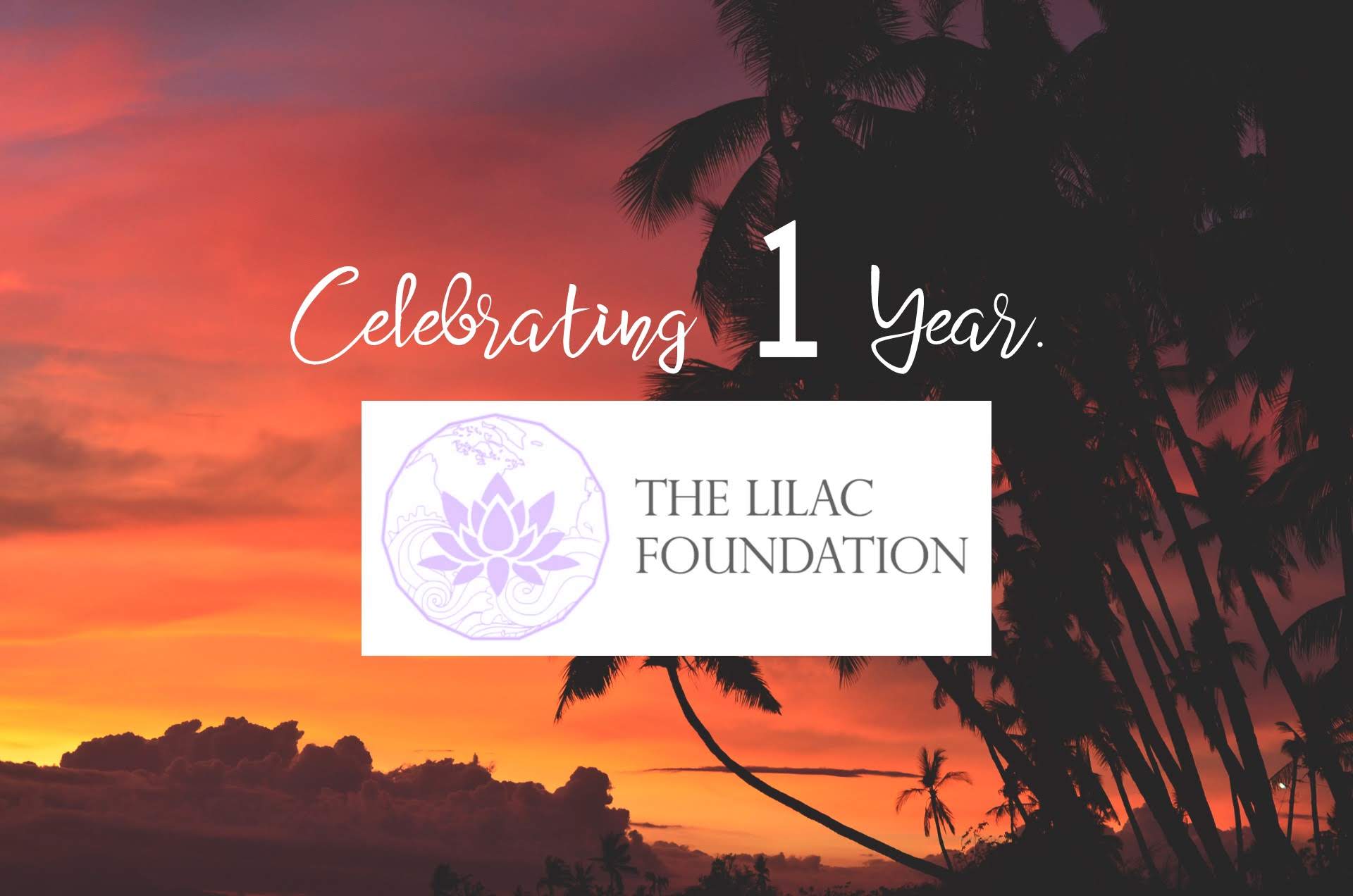 ❁ One Year with The Lilac Foundation - Image