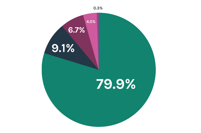 Pie Chart 01 01 Full rectangle