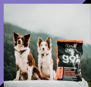 Australian Shepherds sitting in front of mountains with a bag of GO! SOLUTIONS SENSITIVITIES Limited Ingredient Grain-Free Salmon Recipe