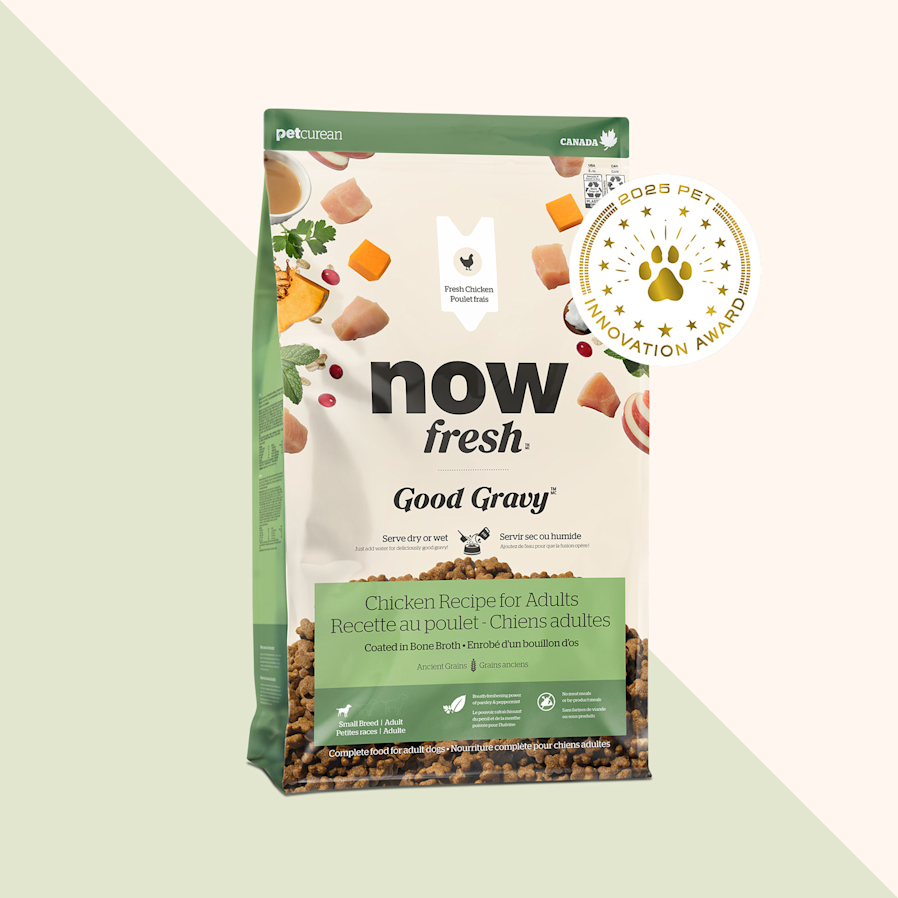 Now Fresh Good Gravy Chicken Recipe for Small Breed Adult Dogs, 2025 Pet Innovation Award