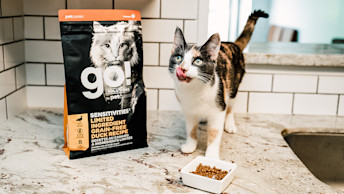 GO-SOLUTIONS-cat-on-kitchen-counter-with-tongue-out-beside-kibble-and-packaging
