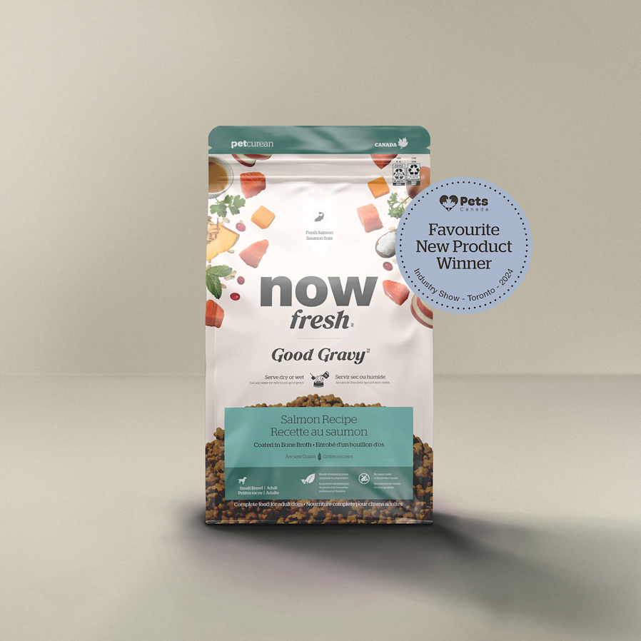 Now Fresh Good Gravy Salmon Recipe for small breed dogs, Pets Canada Favourite New Product Winner