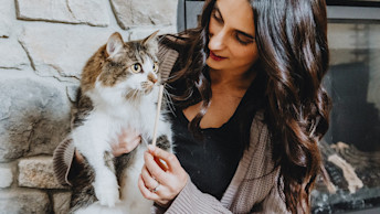 Cat getting its teeth brushed by owner