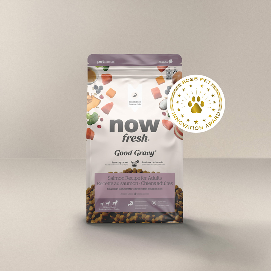 Now Fresh Good Gravy Salmon Recipe for Dogs, Pet Innovation Award 2025