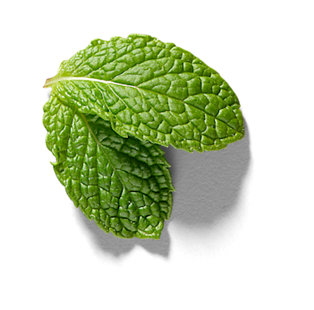 NOW-FRESH-Featured-Ingredient-Mint1