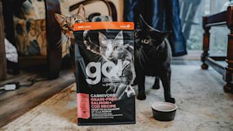 Two cats sniffing bag of Go! Solutions Carnivore kibble