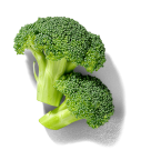 Broccoli florets