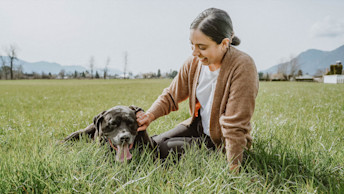 NF - Blog - Large Dog in field with owner