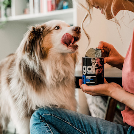 GS Dog S+C Chicken Owner Opening 0620 EU