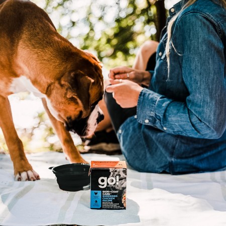Boxer with owner in forest with GO! SOLUTIONS SKIN + COAT CARE Shredded Chicken Recipe with Grains for Dogs wet food