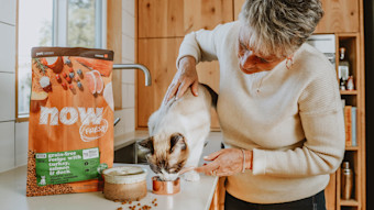 Woman feeding cat on counter