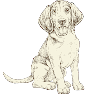 NOW-FRESH-Product-Illustration-Dog-All-Sizes-Puppy