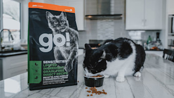 Cat eating GO! SENSITIVITIES Insect Recipe out of bowl on kitchen island