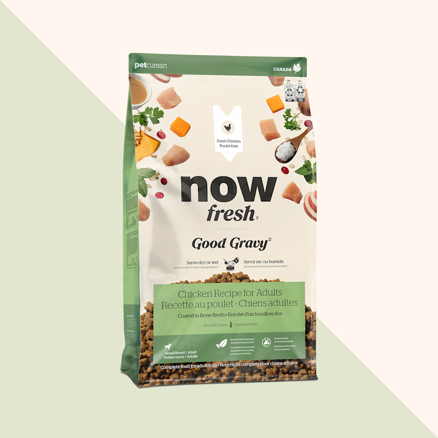Now Fresh Good Gravy Chicken Recipe dry food for small breed adult dogs