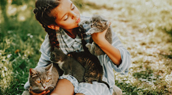 Young girl in field with 3 kittens