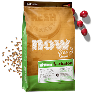 NOW-FRESH-Promo-Kitten-Recipe-EU
