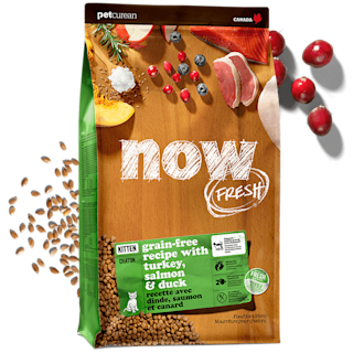 NOW-FRESH-Promo-Kitten-Recipe
